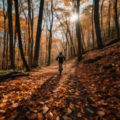 Obraz premium Cycling through an autumn forest
