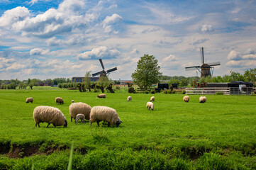View of traditional windmills, canals and grazing sheep and lamb in Kinderdijk Village in the Netherlands, South Holland. Famous tourist attraction. Beautiful Dutch landscape with beautiful sky. © Lizaveta