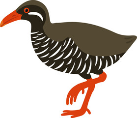 ヤンバルクイナ Yanbaru Kuina