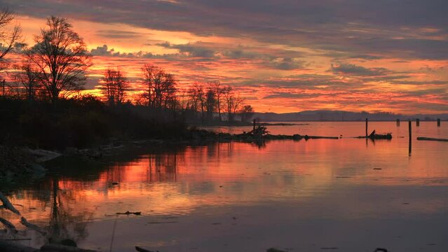 Fraser River Sunrise and Ducks 4K UHD. Sunrise and ducks on the Fraser River. British Columbia, Canada. 4K, UHD.
