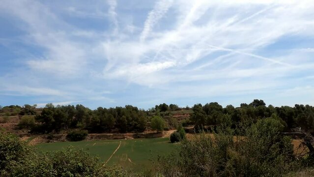 Agricultural area in France with vineyards and olive trees and blue sky with veil clouds