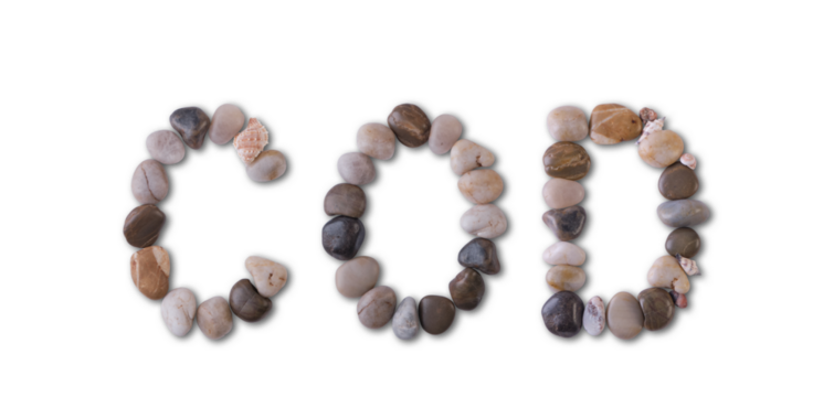 The word "COD" is lined with shells and stones of different shapes and colors on a transparent background. Types of fish and seafood, price tag, sea food, fish market, sea alphabet.