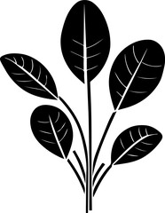 Vivianiaceae flower icon 2