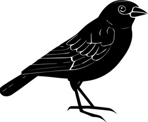 Brown Headed Cowbird icon 3