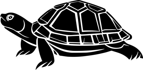 Box Turtle icon 3