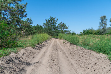 Sand road in the forest. Tire pattern of quad bike on driveway. Track imprint of quadricycle on nature land. Sand texture off road. Path in forest close up. Sand mounds and green forest in sunny day.
