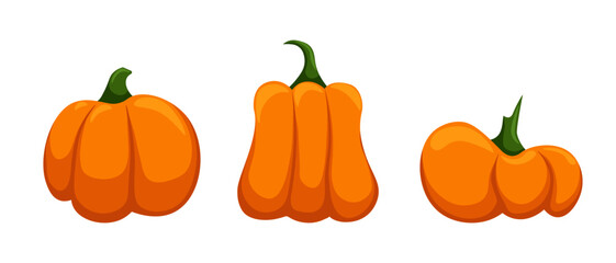 Vector set of orange pumpkins isolated on a white background.
