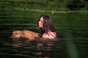A beautiful dark-haired girl swims in the river with a pit bull terrier dog.