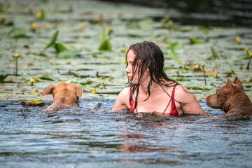 A beautiful dark-haired girl swims in the river with a pit bull terrier dog.