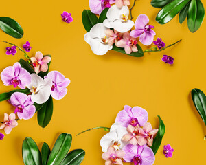 Orchid leaves and flowers composition on yellow background.