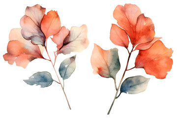 Watercolor Botanical Branch with Flowers, watercolor painting.