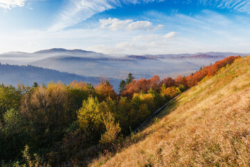 carpathian mountainous countryside landscape in autumn. foggy weather in the morning. grassy meadow on the slope of a hill. trees in fall foliage - obrazy, fototapety, plakaty