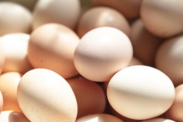 Eggs in a box. Close-up.