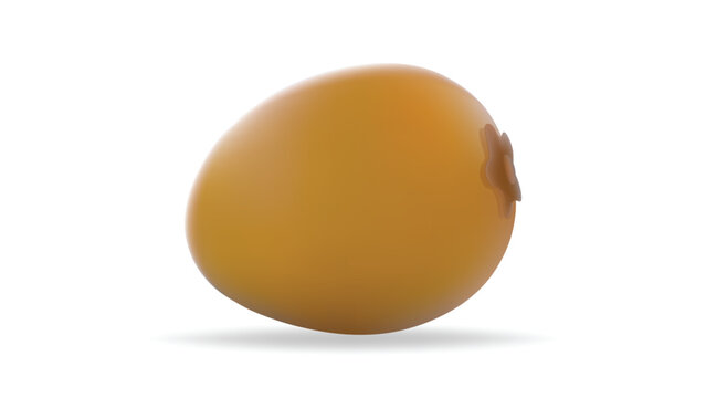 fresh Sapodilla isolated on the white background. whole and slice of sapodilla fruit, Vector illustration