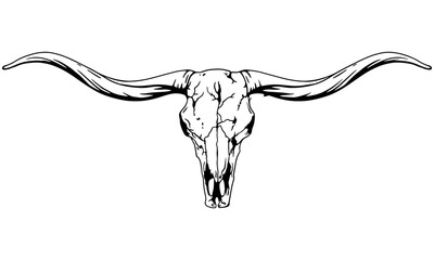 Texas Longhorn, Country Western Bull Cattle Vintage Label Logo Design. Vector hand drawing of the head of a Texas longhorn on a white background