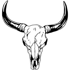 Texas Longhorn, Country Western Bull Cattle Vintage Label Logo Design. Vector hand drawing of the head of a bull skull on a white background.