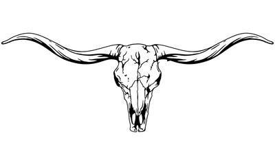 Texas Longhorn, Country Western Bull Cattle Vintage Label Logo Design. Vector hand drawing of the head of a Texas longhorn on a white background