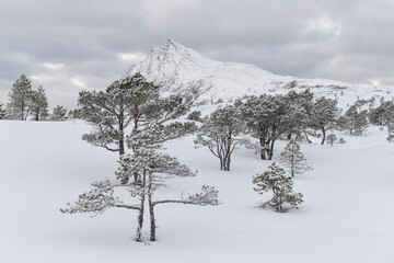 Snow landscape in the mountains of arctic Norway in winter