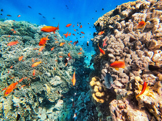 Red Sea