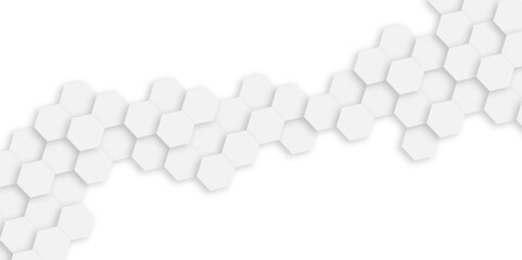 Fototapeta premium White background and embossed hexagon , honeycomb white background, light and shadow background with hexagons, abstract background with lines, modern abstract vector illustration, Poster, wallpaper. 