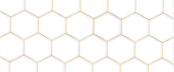 White background and embossed hexagon , honeycomb white background, light and shadow background with hexagons, abstract background with lines, modern abstract vector illustration, Poster, wallpaper.	