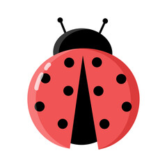 Beautiful Ladybug Flat Vector illustration. Insect isolated on white. Cartoon style dotted Lady bird. Pretty red Beetle with black Dots. Design element for poster, kid's decoration, Banner, Sticker.