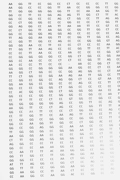 Printed on a sheet of paper, pairs of combinations of the letters ACGT, nitrogenous bases that make up DNA.