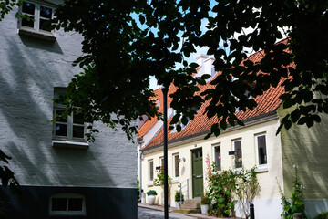Dark tree branches frame the white walls of rural brick houses, bucolic background