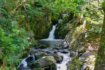 waterfall in the forest