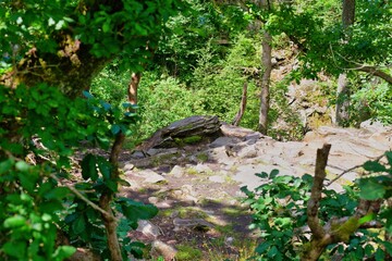 trees and stone at Rhaeadr Nantcol Waterfalls, UK