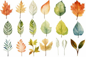 Fototapeta premium 水彩調の植物のイラスト。北欧風の 葉っぱのイラスト。