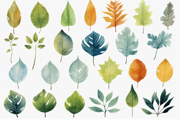 水彩調の植物のイラスト。北欧風の 葉っぱのイラスト。