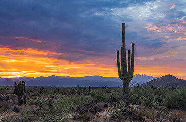 Colorful Sunrise Skies In The Sonoran Desert In Phoenix AZ Area