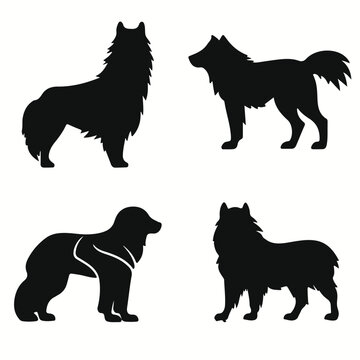 Ainu Dog silhouettes and icons. Black flat color simple elegant Ainu Dog animal vector and illustration.