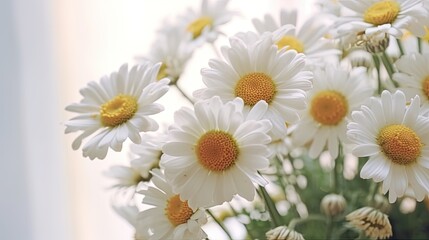 Fototapeta na wymiar Beautiful bouquet of white daisies on a window sill