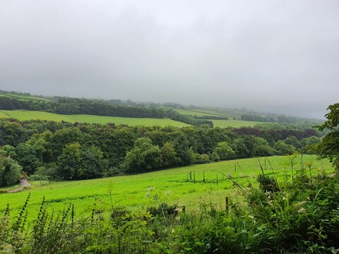 Ireland's Glenarm Glen on a Misty Day