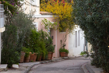 Street view in Athens with flowers on the building