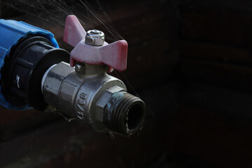 Spider web on the red handle of a ball valve