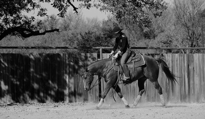 Western lifestyle concept with rider on horse in outdoor arena in black and white.