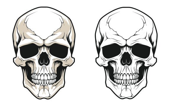Vintage Monochrome Human Skull crossing bones Vector illustration