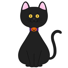Black cat wearing pumpkin collar