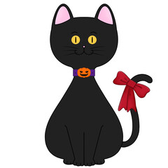 Black cat wearing collar and ribbon