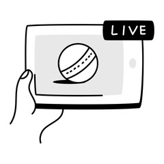 Online Cricket 