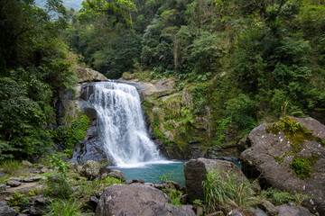 Obraz premium Forest waterfall in neidong national forest recreation area of taiwan