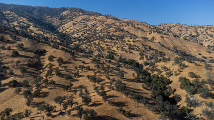 Sequoia National Forest near Lake Isabella, Kern County, California