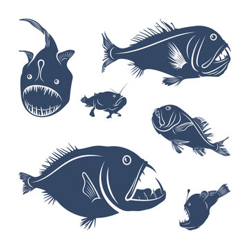 Set of Deep sea fish vector illustration design. Deep Sea fish logo design Template.