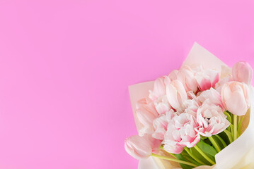 Bouquet of fresh tulip flowers on a pink background.