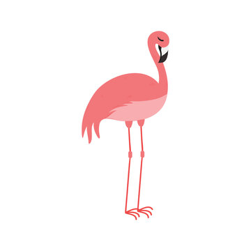 recommend clip art: Pink Flamingo Cartoon Illustration Isolated In White Background. Summer Animal Illustration