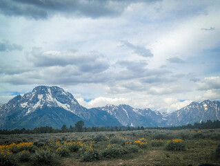 Grand Teton National Park Meadows and Mountains