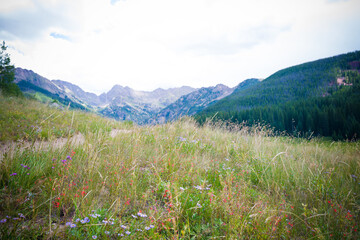 Piney Lake Colorado